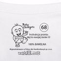 BABY INSTRUCTIONS INSTRUKCJA OBSŁUGI DLA TATY