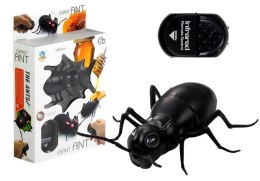 Wielka Mrówka Insekt Zdalnie Sterowany R/C Czarny LEAN Toys