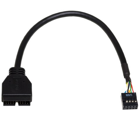 Kabel adapter Akyga AK-CA-28 USB 19pin M - USB 9pin F 0,2m czarny AKYGA Kabel adapter Akyga AK-CA-28 USB 19pin M - USB 9pin F 0,2m czarny AKYGA