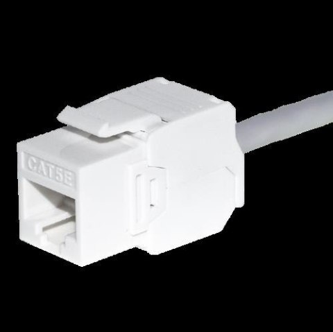 Moduł keystone Jack RJ45 kat. 6 UTP, beznarzędziowy, biały Netrack NETRACK Moduł keystone Jack RJ45 kat. 6 UTP, beznarzędziowy, biały Netrack NETRACK