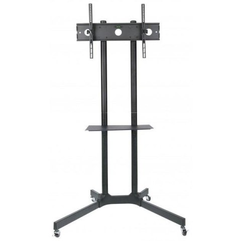 Stojak mobilny Techly 30"-65", 60kg regulowany Techly