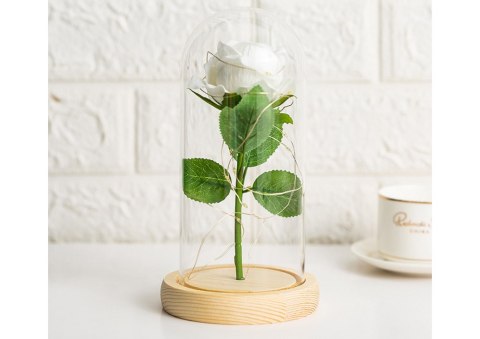 Wieczna Róża W Szkle Kopuła Oświetlenie LED Biała 21x11cm LEAN