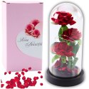 Wieczne 3 Róże w Kopule z Oświetleniem LED i Płatkami Róż Czerwone 21x11cm LEAN