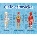 Gra dla dzieci Ciało człowieka Mistrz Wiedzy Trefl 01957 Trefl Gry