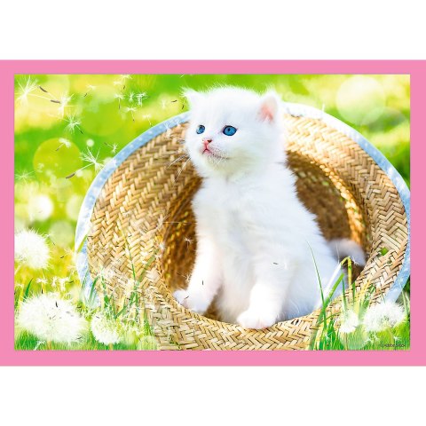 Puzzle - 4w1 (35, 48, 54, 70) - Zabawne kotki - Trefl 34396 Trefl Puzzle Puzzle - 4w1 (35, 48, 54, 70) - Zabawne kotki - Trefl 34396 Trefl Puzzle
