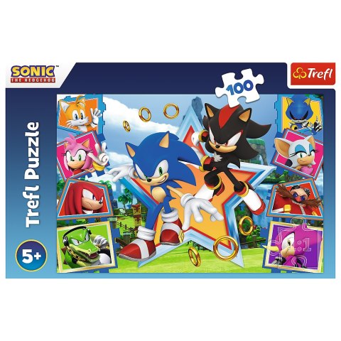 Puzzle - 100 - Poznaj Sonica - Trefl 16465 Trefl Puzzle Puzzle - 100 - Poznaj Sonica - Trefl 16465 Trefl Puzzle