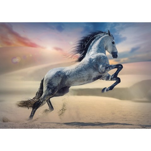 Puzzle - 1000 - Majestatyczny koń - Trefl 10790 Trefl Puzzle Puzzle - 1000 - Majestatyczny koń - Trefl 10790 Trefl Puzzle