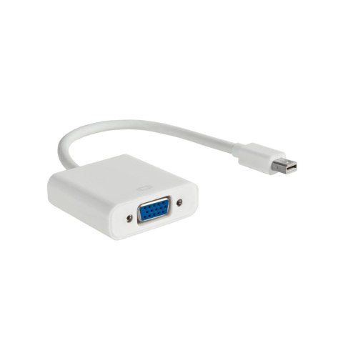 Kabel adapter Akyga AK-AD-39 VGA F - mini DisplayPort M 0,15m biały AKYGA