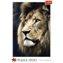 Puzzle - 1500 - Portret lwa / 500 px 26139 Trefl Puzzle