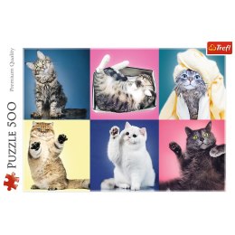 Puzzle - 500 - Kociaki - Trefl 37377 Trefl Puzzle