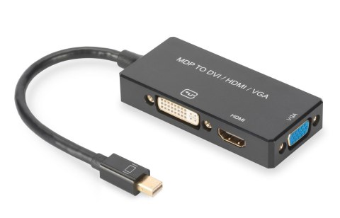 Kabel adapter DIGITUS 3w1 mini DisplayPort 4K 30Hz/1080p 60Hz miniDP/HDMI(UHD)+DVI-I+VGA(FHD) M/Ż 0,2m Digitus