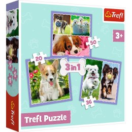 Puzzle - 3w1 (20, 36, 50) - Urocze pieski - Trefl 34854 Trefl Puzzle