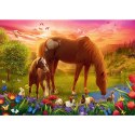 Puzzle - 500 - Konie na łące - Trefl 37451 Trefl Puzzle Puzzle - 500 - Konie na łące - Trefl 37451 Trefl Puzzle