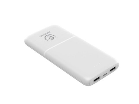 Powerbank Rebeltec P10 (10 000mAh 10W) Rebeltec
