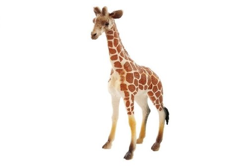 Zestaw Zwierząt Dzikie Zwierzęta 6 elementów LEAN Toys Zestaw Zwierząt Dzikie Zwierzęta 6 elementów LEAN Toys