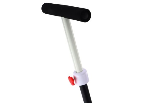 Rower Trójkołowy PRO50 Rowerek Z Rączką Do Prowadzenia Czarny LEAN Trike Rower Trójkołowy PRO50 Rowerek Z Rączką Do Prowadzenia Czarny LEAN Trike