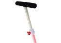Rower Trójkołowy PRO50 Rowerek Z Rączką Do Prowadzenia Różowy LEAN Trike Rower Trójkołowy PRO50 Rowerek Z Rączką Do Prowadzenia Różowy LEAN Trike
