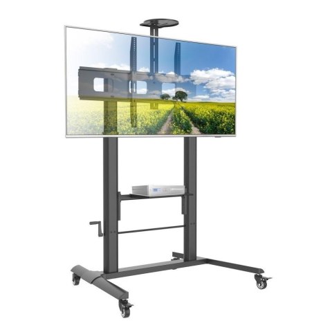 Stojak mobilny Techly do tablicy interaktywnej 52"-110", 120kg z półką Techly Stojak mobilny Techly do tablicy interaktywnej 52"-110", 120kg z półką Techly