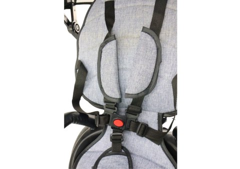 Rower Trójkołowy PRO550 Szary LEAN Trike Rower Trójkołowy PRO550 Szary LEAN Trike