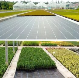Agrotkanina czarna 100 cm x50m UV 70g antychwastowa agrowłóknina + kotwy LEAN Trike