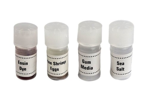 Mikroskop Dziecięcy Walizka Nauka 300x 600x 1200x LEAN Toys Mikroskop Dziecięcy Walizka Nauka 300x 600x 1200x LEAN Toys