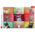 Puzzle - 1500 - Zabawne Kocie Portrety - Trefl 26212 Trefl Puzzle