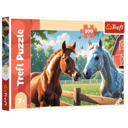 Puzzle - 200 - Konie na polanie - Trefl 13328 Trefl Puzzle