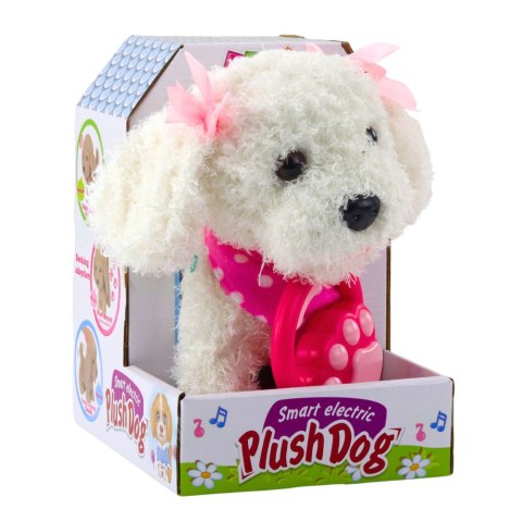 Interaktywny Piesek Pudel Z Kokardkami Na Smyczy Chodzi Szczeka Biały LEAN Toys Interaktywny Piesek Pudel Z Kokardkami Na Smyczy Chodzi Szczeka Biały LEAN Toys