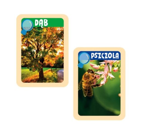 Naukowa Zabawa Odkrywcy Natury Język Polski Clementoni 50714 Clementoni Naukowa Zabawa Odkrywcy Natury Język Polski Clementoni 50714 Clementoni
