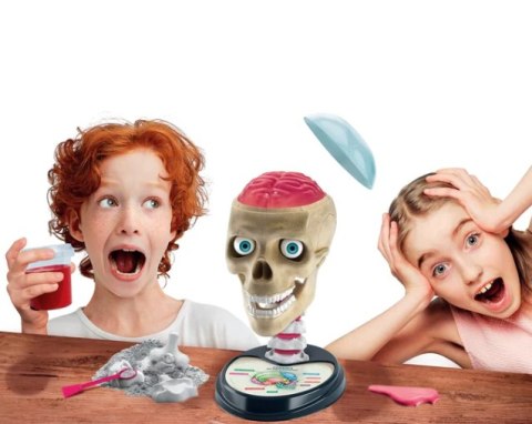 Naukowa Zabawa Zestaw Zwariowana Anatomia Język Polski Clementoni 50697 Clementoni Naukowa Zabawa Zestaw Zwariowana Anatomia Język Polski Clementoni 50697 Clementoni