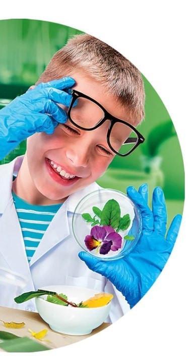 Zestaw Naukowa Zabawa Super Mikroskop Język Polski Clementoni 50755 Clementoni Zestaw Naukowa Zabawa Super Mikroskop Język Polski Clementoni 50755 Clementoni