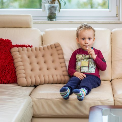 PODUSZKA GIGANTYCZNY HERBATNIK