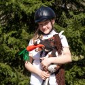 SKIPPI HOBBY HORSE - W PLAMY - BRĄZOWE PLAMKI - KOŃ NA KIJU - KANTAR