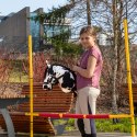 SKIPPI HOBBY HORSE - W PLAMY - CZARNE PLAMKI - KOŃ NA KIJU - KANTAR