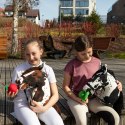 SKIPPI HOBBY HORSE - W PLAMY - CZARNE PLAMKI - KOŃ NA KIJU - KANTAR
