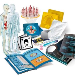 Naukowa Zabawa Super Anatomia Język Polski Clementoni 50919 Clementoni