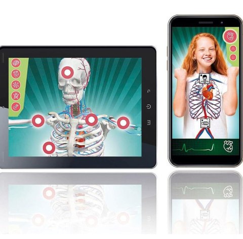 Naukowa Zabawa Super Anatomia Język Polski Clementoni 50919 Clementoni