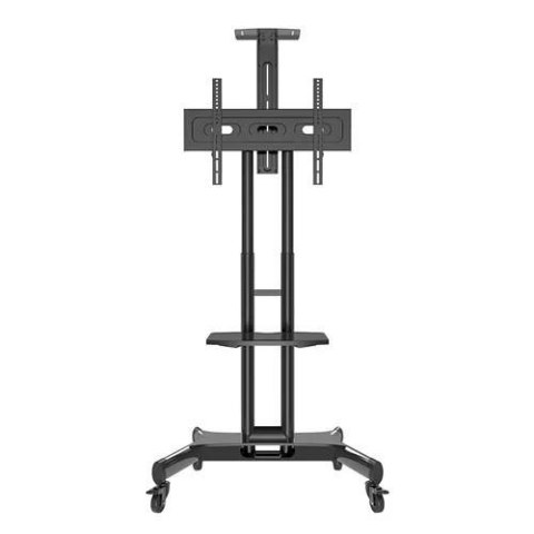 Stojak podłogowy NM-M1700BLACK Neomounts 32"-75" 50kg Neomounts B.V.