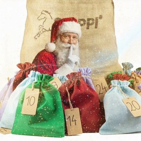 Kalendarz Adwentowy Hobby Horse - The Best of Skippi - gniado-srokaty