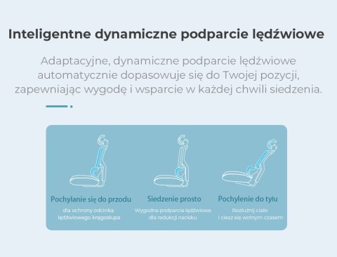 Fotel ergonomiczny ANGEL biurowy obrotowy Dakota 2.0 Grafitowy ANGEL