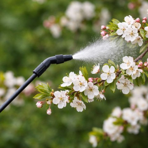Ręczny Opryskiwacz Ciśnieniowy Do Podlewania Nawożenia Opryskiwania LEAN 5L LEAN