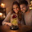 Wieczna Róża w Kopule z Oświetleniem LED Czerwona 21x11cm LEAN