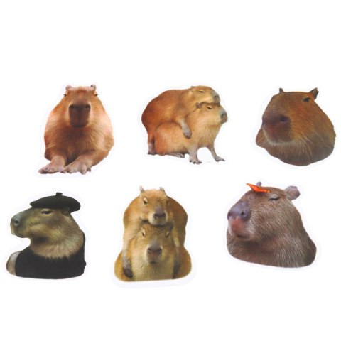 Zestaw Naklejki Kapibara Papierowe Prawdziwe Wizerunki 50 szt. LEAN