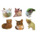 Zestaw Naklejki Koty Memy Dekoracyjne Różne Motywy 50 szt. 7-8 cm LEAN