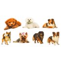 Zestaw Naklejki Pieski Różne Gatunki Śliskie Przeźroczyste 50 szt. LEAN Toys
