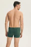 Komplet Bokserki Męskie Model Blank 44522 2pack Green - Henderson Henderson