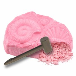 Morski Zestaw Archeologiczny Morskie Skamieniałości Muszle Narzędzia LEAN TOYS