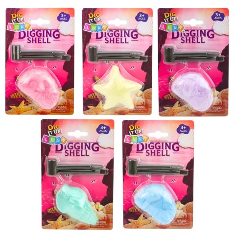 Morski Zestaw Archeologiczny Morskie Skamieniałości Muszle Narzędzia LEAN TOYS