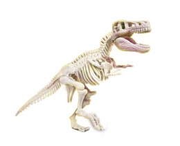 Naukowa Zabawa Skamieniałości Szkielet T-Rex Język Polski Clementoni 50858 Clementoni