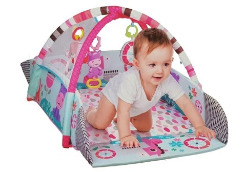 Duża Mata Basen Edukacyjna dla Niemowląt 5w1 z Pałąkami Hipopotam Piłeczki LEAN Toys Duża Mata Basen Edukacyjna dla Niemowląt 5w1 z Pałąkami Hipopotam Piłeczki LEAN Toys